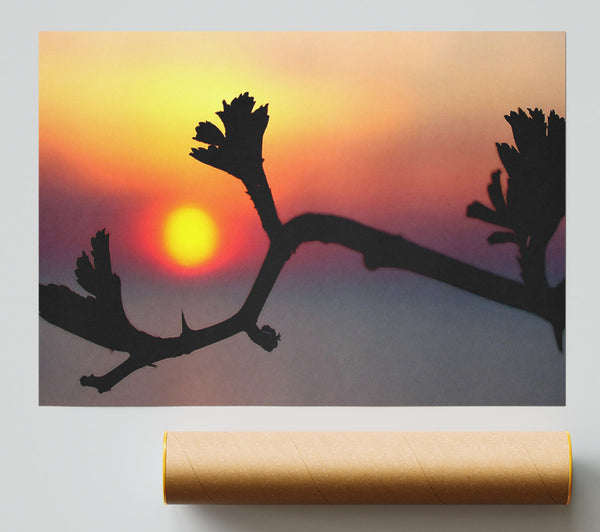 Embrace The Sun Giclee Print