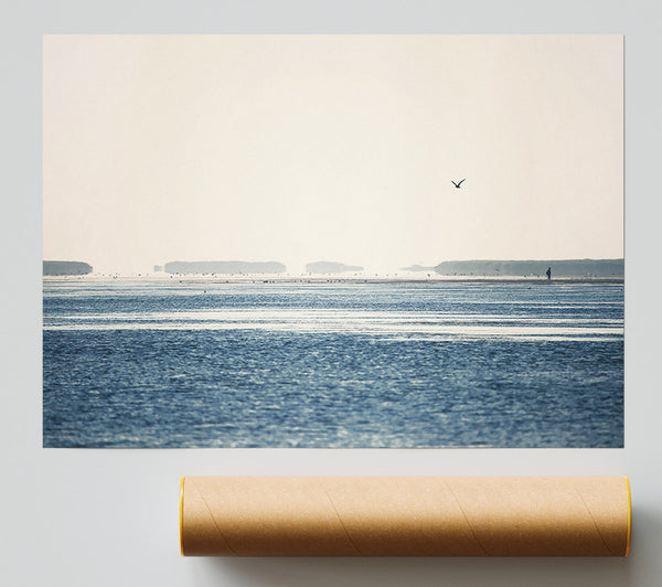 Morning Sea Bird Giclee Print