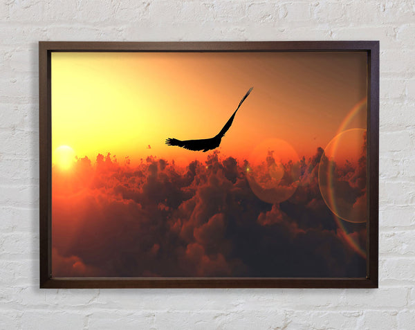 Eagle Flying In The Burnt Orange Sky Framed Print