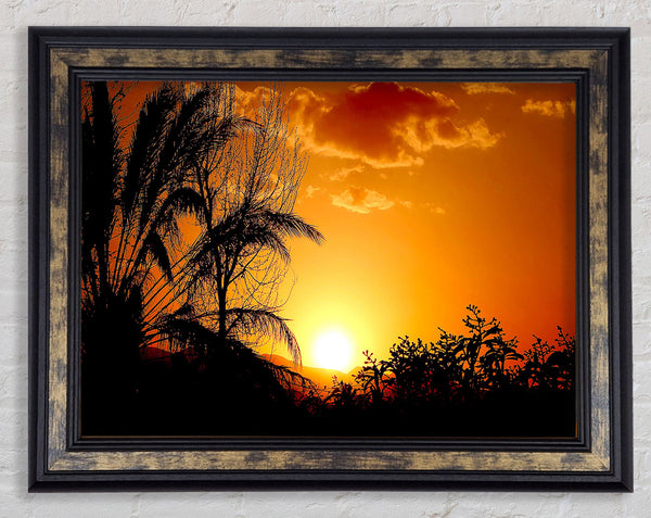 Beautiful Sunset Trees Framed Print