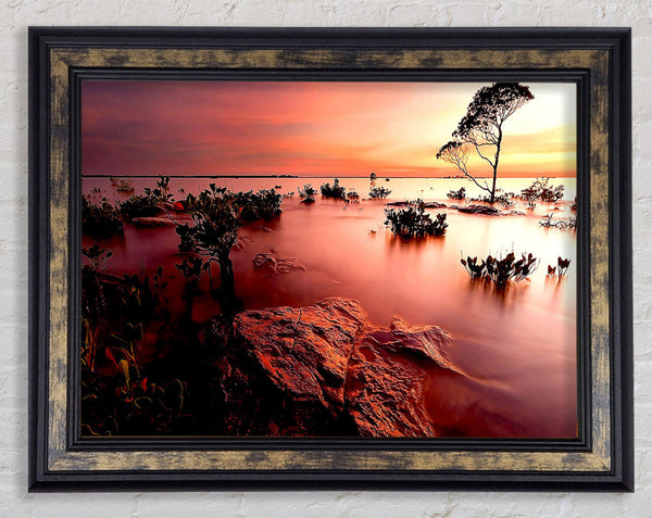 Tranquil Pink Ocean Trees Framed Print