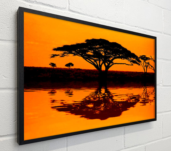 African Tree Reflection