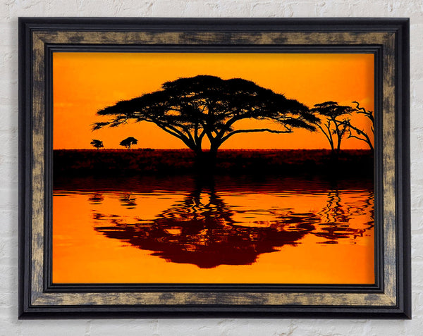African Tree Reflection Framed Print