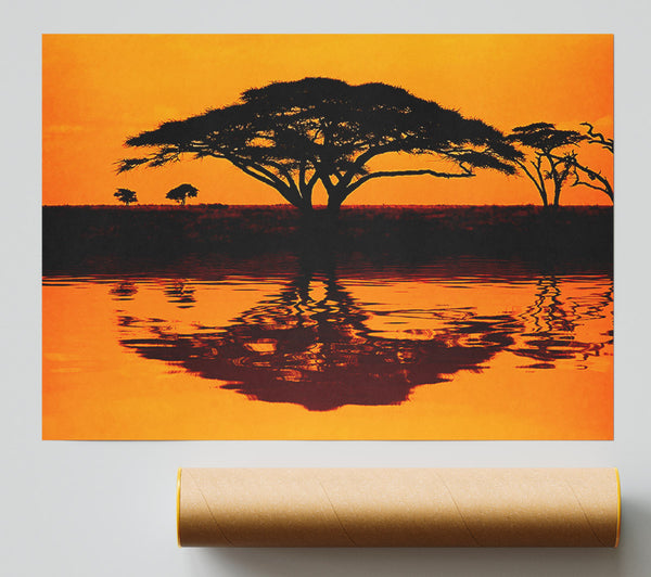 African Tree Reflection Giclee Print