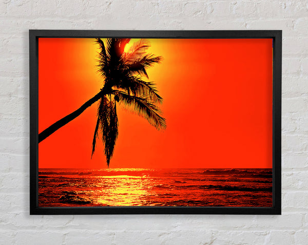Palmtree Sunblaze Framed Print