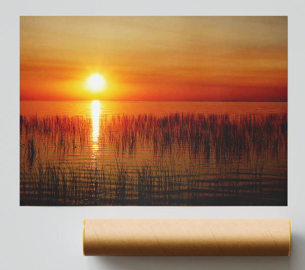 Sunset Over The Oceans Reeds Print