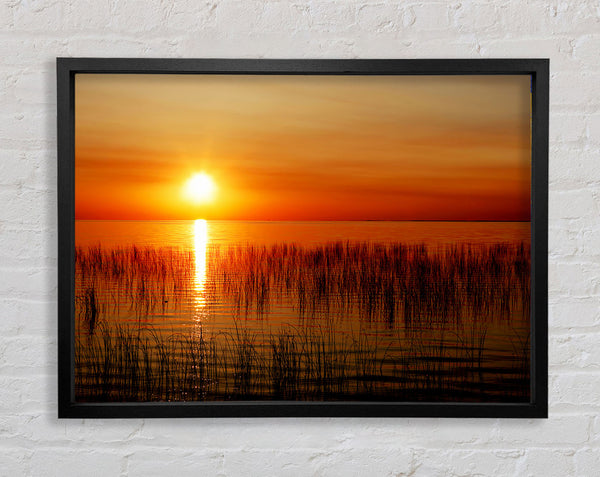 Sunset Over The Oceans Reeds Framed Print