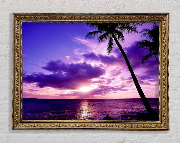Lilac Pink Ocean Paradise Framed Print