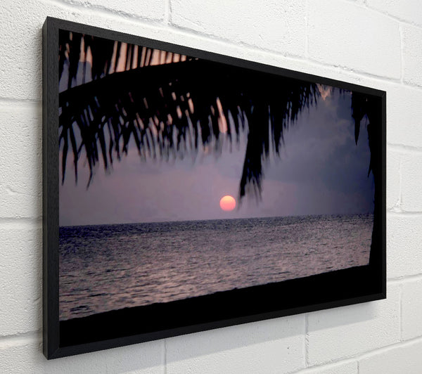 Pink Sun Sunset