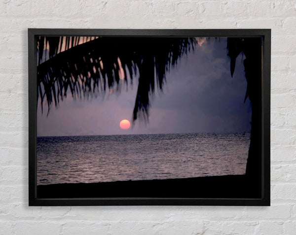 Pink Sun Sunset Framed Print