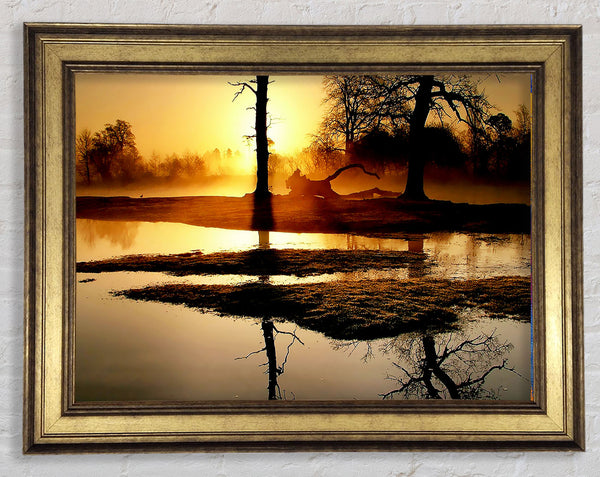Golden Lake Sunset Framed Print