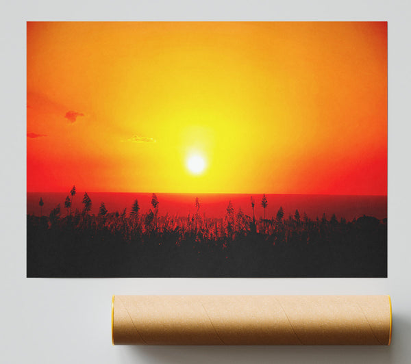 Red Ocean Flowers Giclee Print