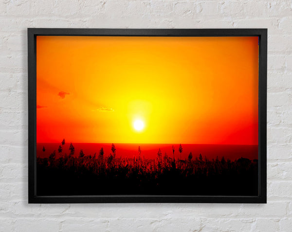 Red Ocean Flowers Framed Print