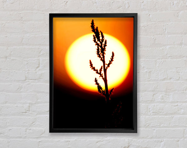 Stunning Sun Glow Orange Framed Print