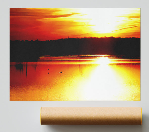 Sunlight Reflections Print