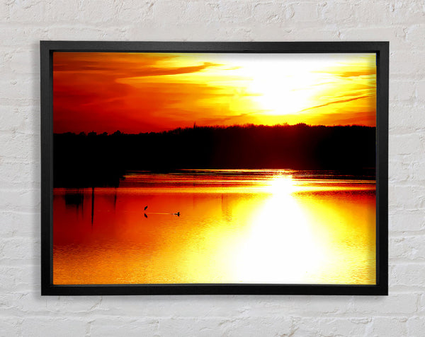 Sunlight Reflections Framed Print