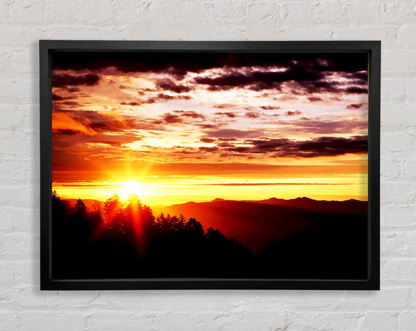 Sunrise Over Treeline Framed Print