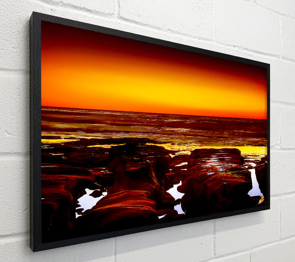 Orange Delight