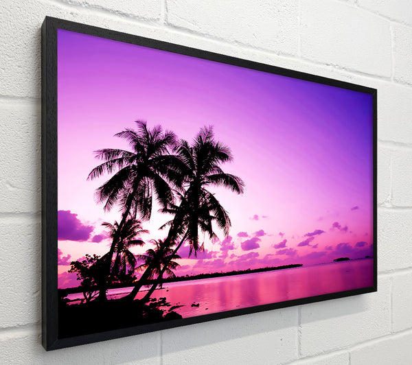 Pink Palm Tree Ocean