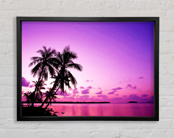 Pink Palm Tree Ocean Framed Print