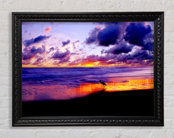 Blazing Ocean Sunset Framed Print