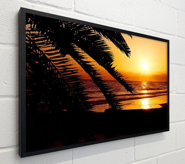 Glow Of The Golden Ocean