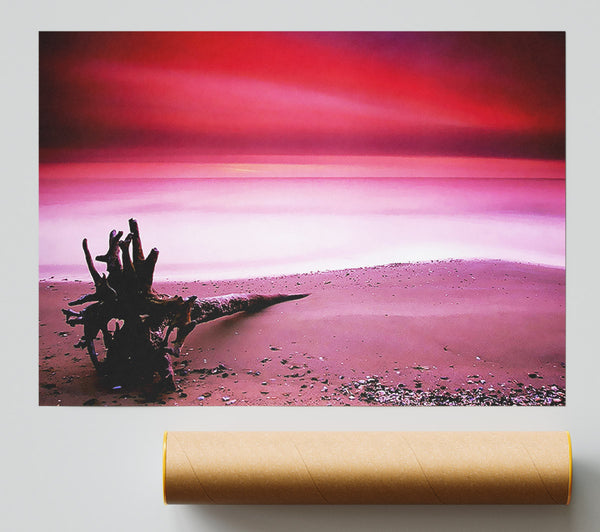 Pink Ocean Calm Poster