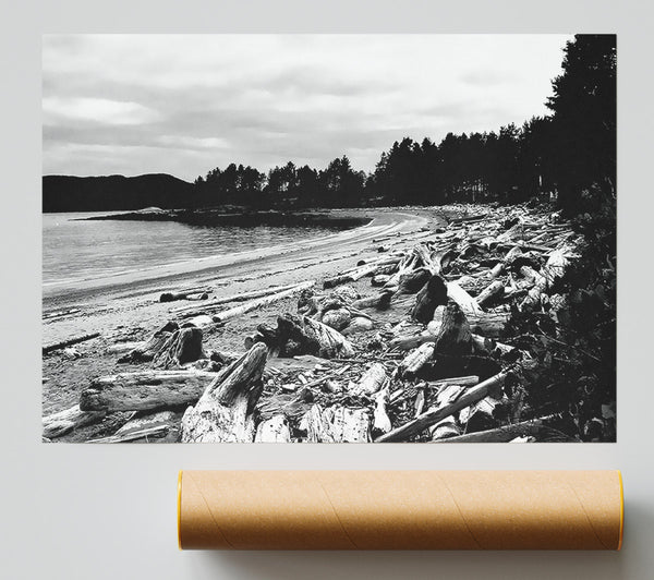 Black And White Driftwood Ocean Giclee Print