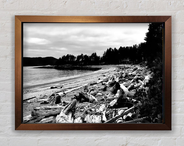 Black And White Driftwood Ocean Framed Print