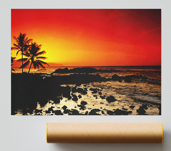 Stunning Palm Tree Ocean Rocks Poster