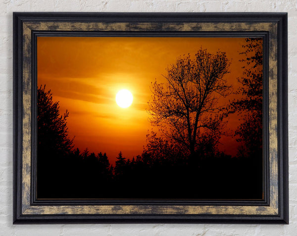 Orange Sunset Over Trees Framed Print