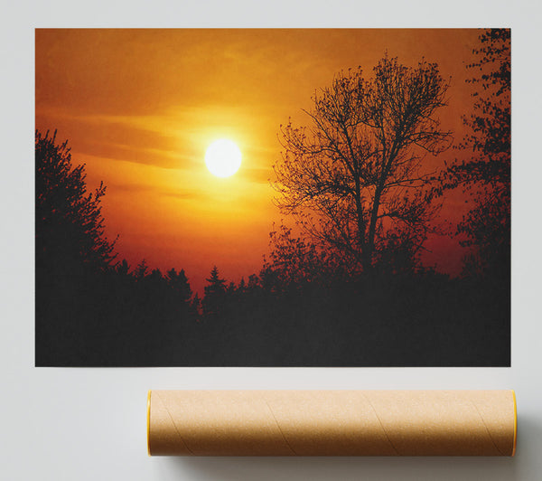 Orange Sunset Over Trees Giclee Print