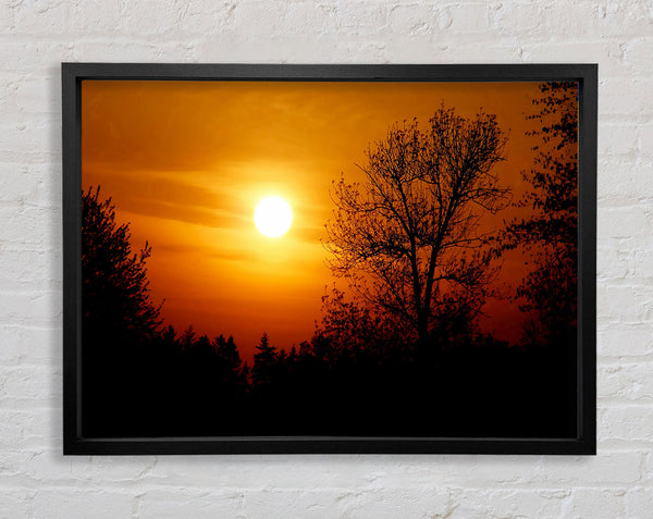 Orange Sunset Over Trees Framed Print