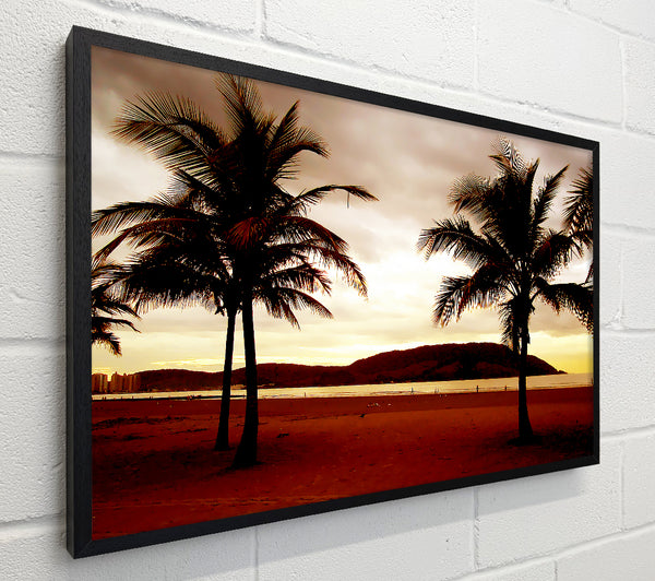 Beach Palmtree Mountain View