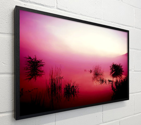Pink Misty Lake