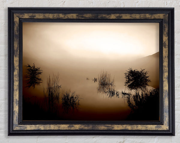 Brown Misty Lake Framed Print