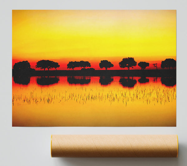 Reflections Of The Sunset Trees Golden Poster