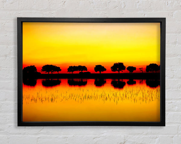 Reflections Of The Sunset Trees Golden Framed Print