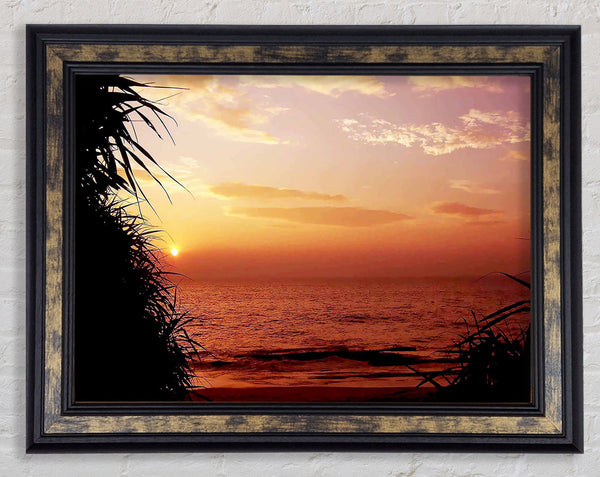 Paradise Calm Framed Print