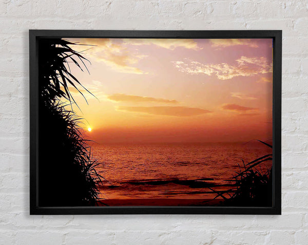 Paradise Calm Framed Print
