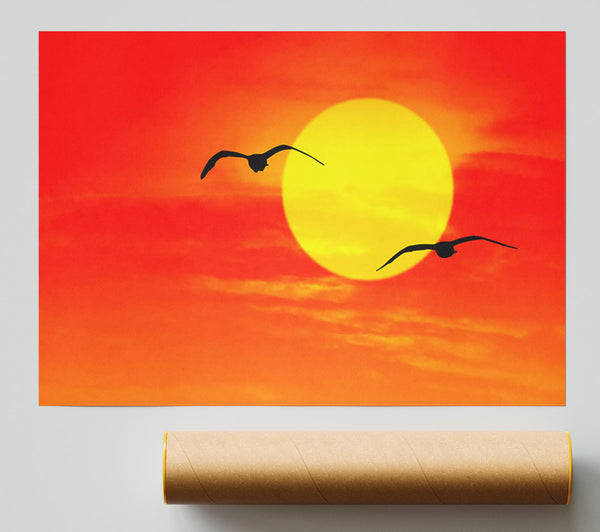 Seagulls At Sunrise Florida Giclee Print