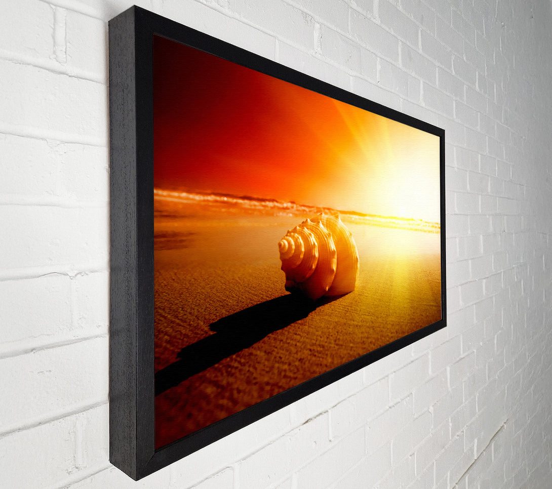  A Canvas Print of Seashell And Sun Canvas Wall Art