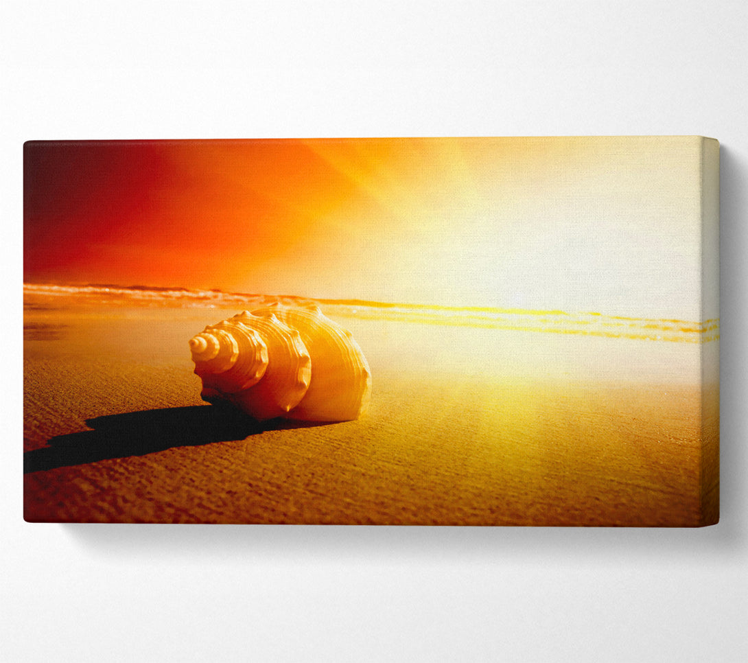  A Canvas Print of Seashell And Sun Canvas Wall Art