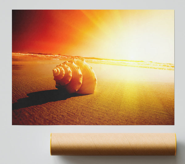 Seashell And Sun Giclee Print