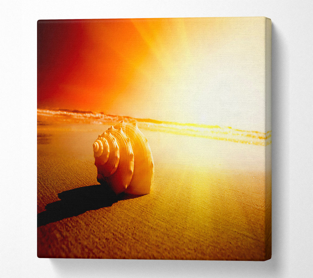  A Canvas Print of Seashell And Sun Canvas Wall Art