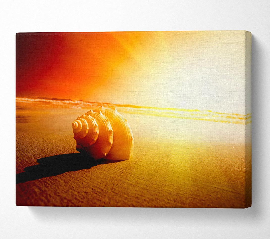 A Canvas Print of Seashell And Sun Canvas Wall Art