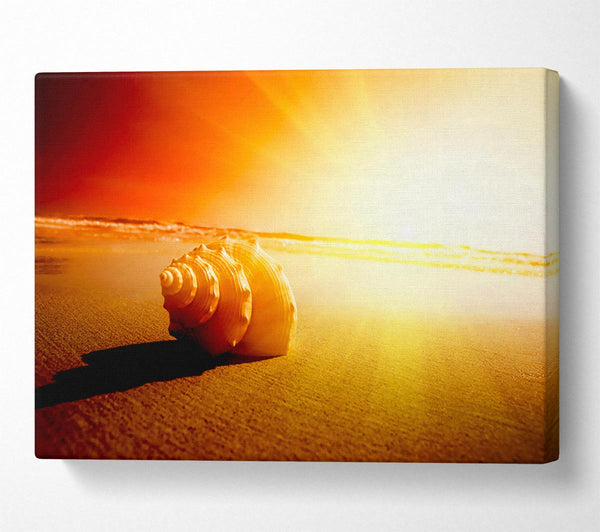  A Canvas Print of Seashell And Sun Canvas Wall Art