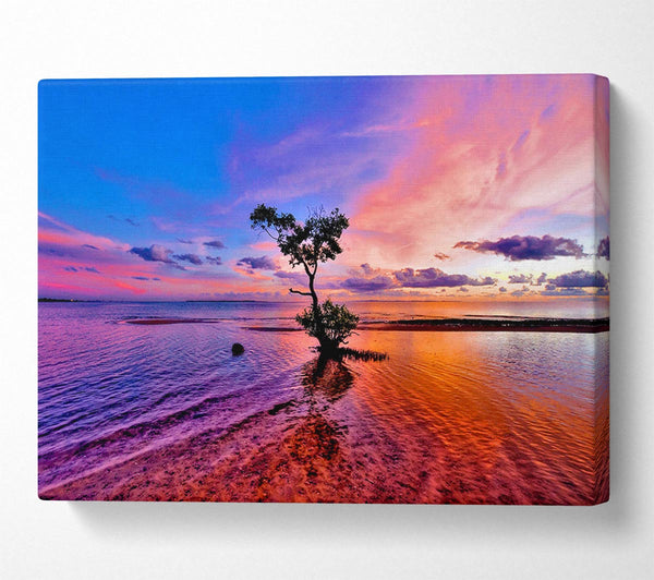  A Canvas Print of Ocean Tree Dusk Canvas Art