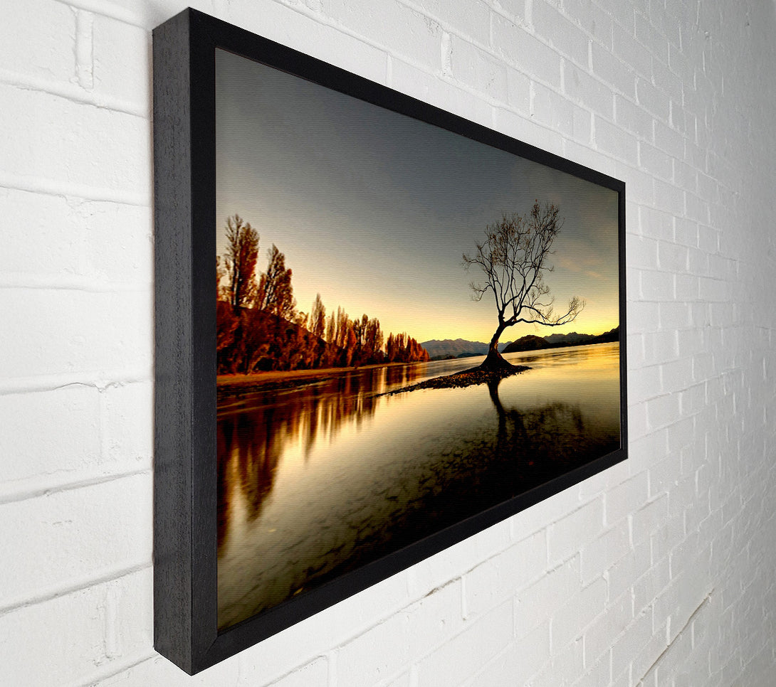  A Canvas Print of Lonely Lake Tree Canvas Print