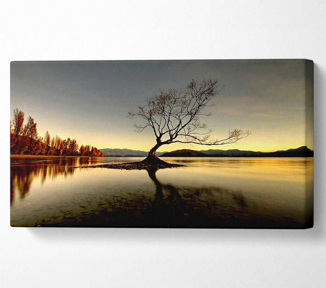  A Canvas Print of Lonely Lake Tree Canvas Print